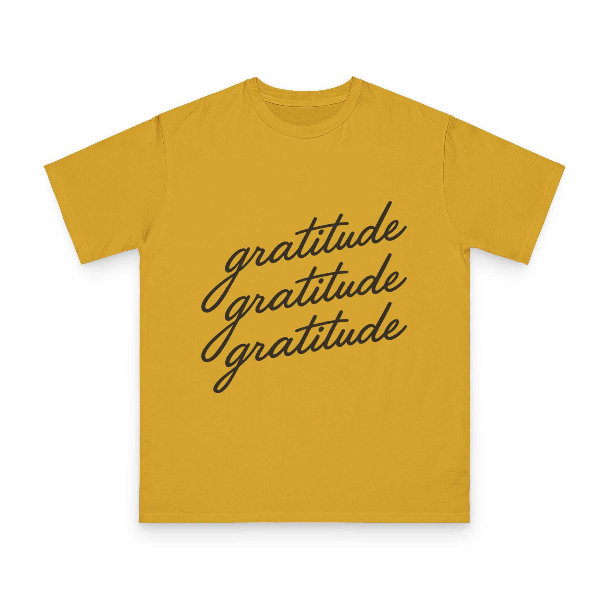 Gratitude Gratitude Gratitude  T-Shirt