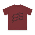 Gratitude Gratitude Gratitude  T-Shirt