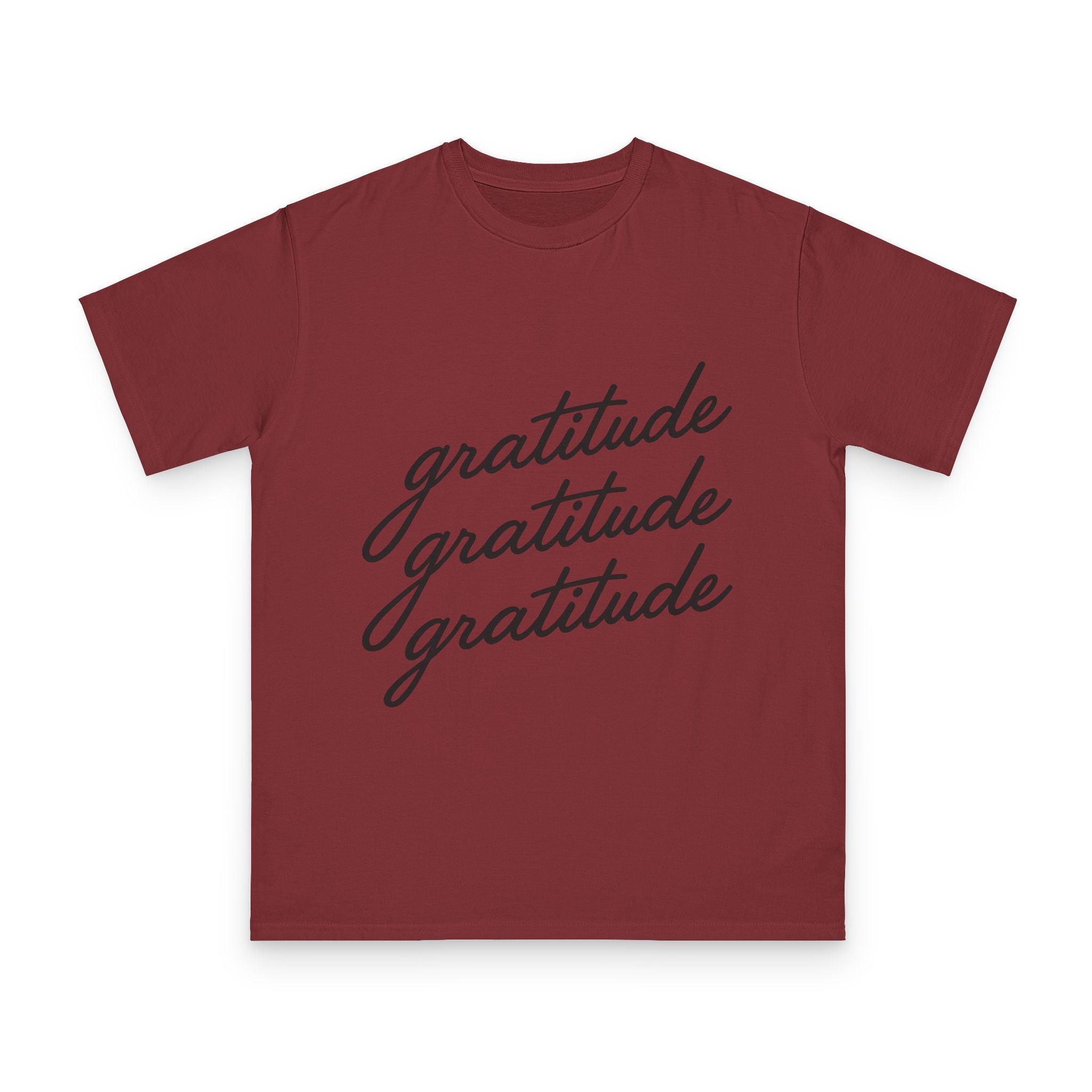 Gratitude Gratitude Gratitude  T-Shirt