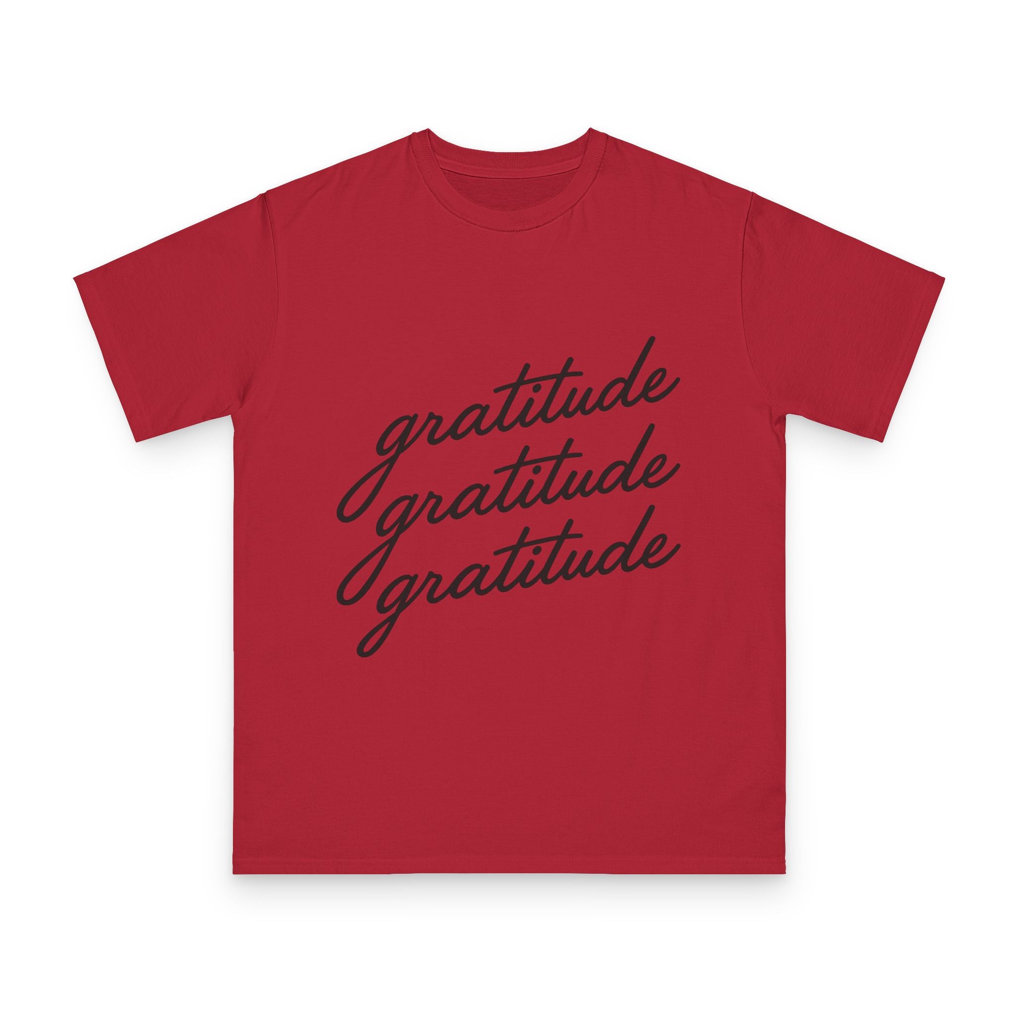 Gratitude Gratitude Gratitude  T-Shirt